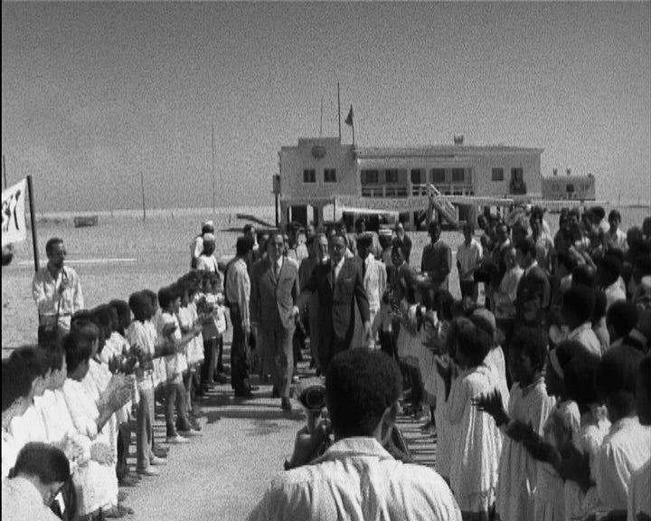 Rebocho Vaz na Baía dos Tigres