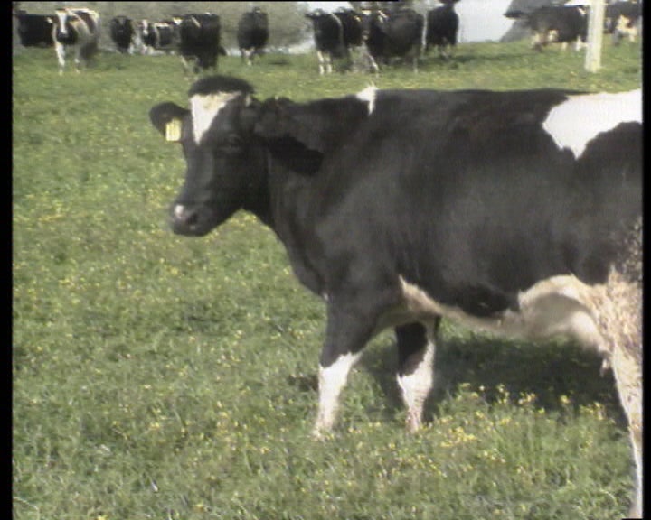 Tempo na agricultura