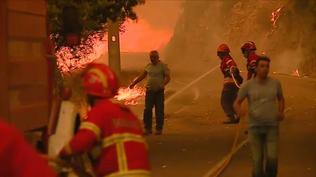 Incêndio florestal em Pampilhosa da Serra