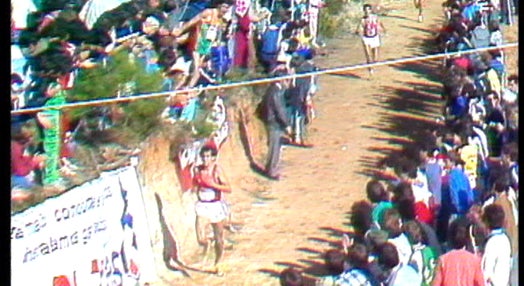 Cross Internacional de Matos Velhos