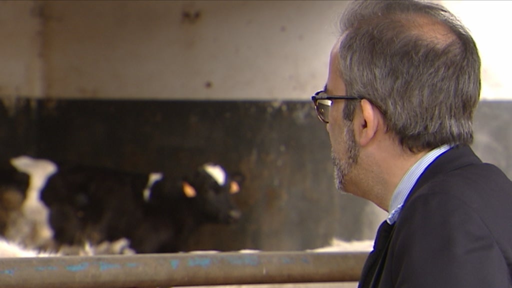 Campanha do PSD para as Europeias 2019