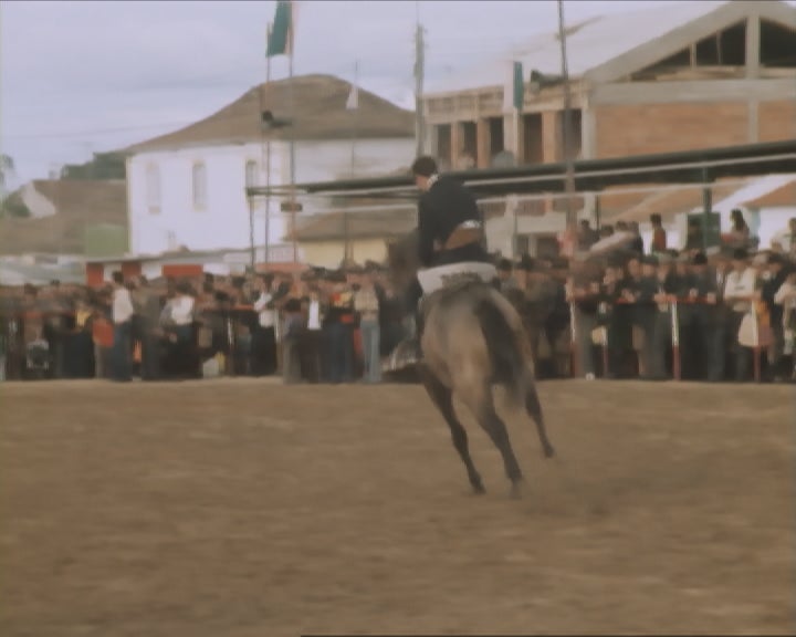 Novembro no Ribatejo I – Parte I