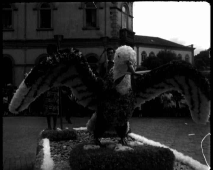 Cortejo das Cavalhadas de Vildemoinhos em Viseu