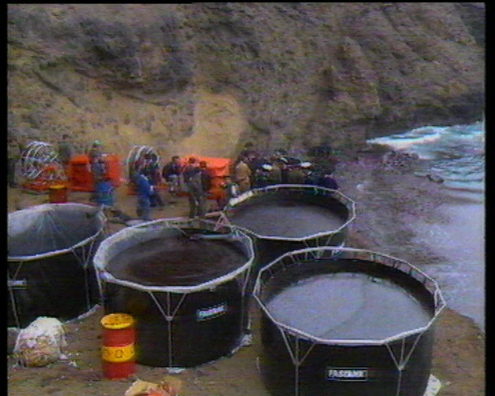 Limpeza de crude nas praias de Porto Santo