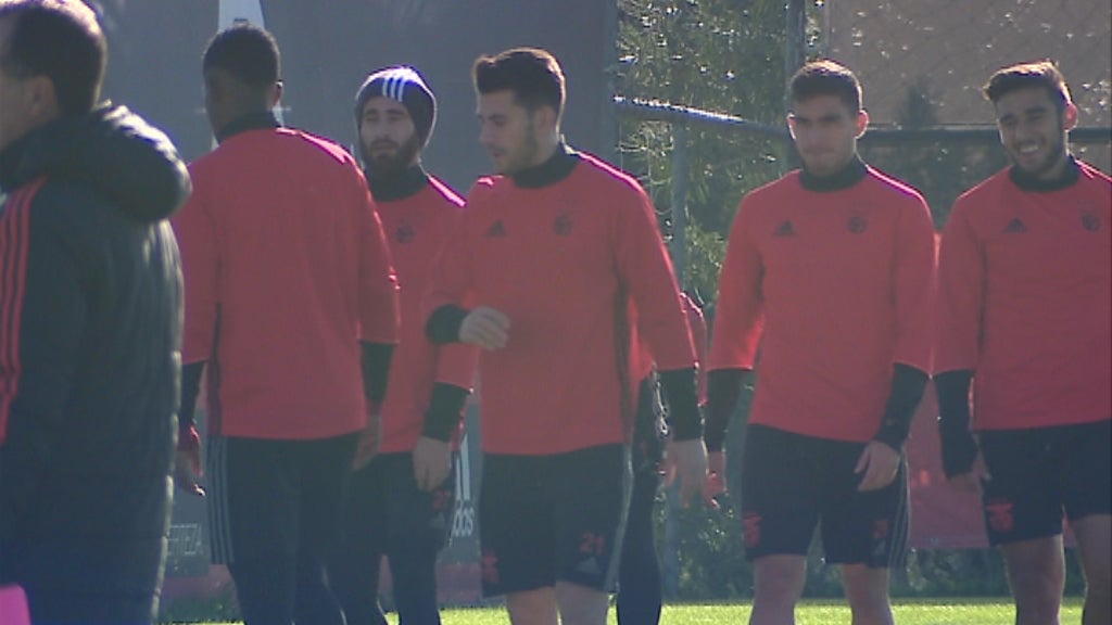 Futebol: antevisão Benfica vs Boavista