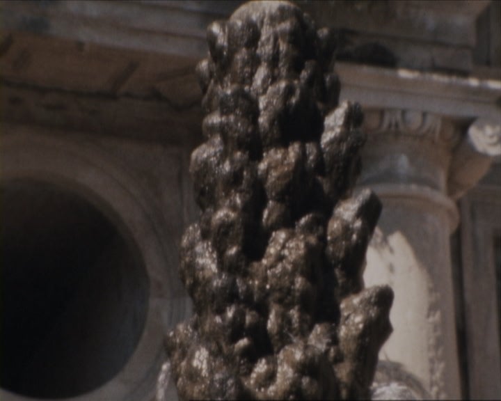 Tomar nos Jogos sem Fronteiras