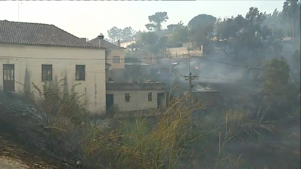 Incêndio florestal no concelho da Lousã