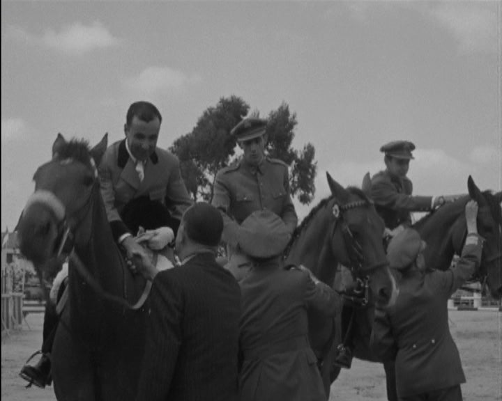 Hipismo: 12º Concurso Hípico Oficial de Sintra