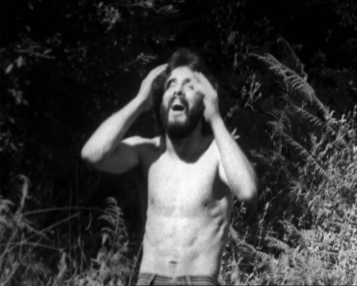 O Movimento – Parte II