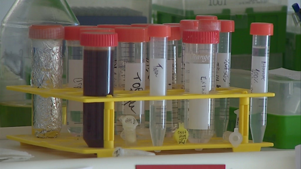 Tratamento da doença do intestino