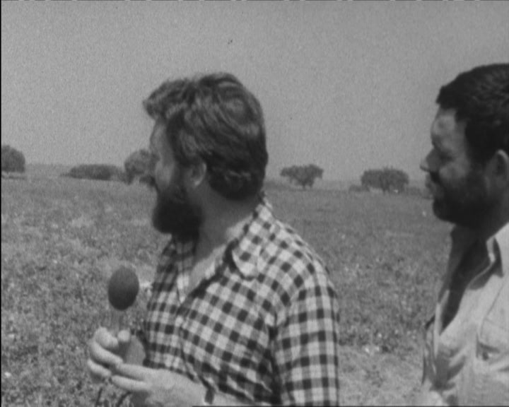 Cooperativa 1º de Maio em Avis