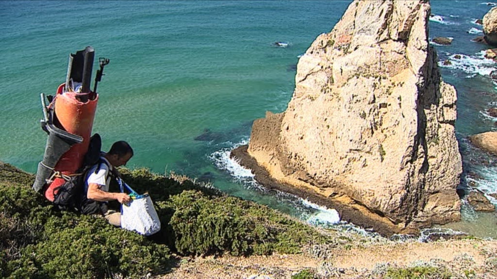 A importância de ser Xico Gaivota