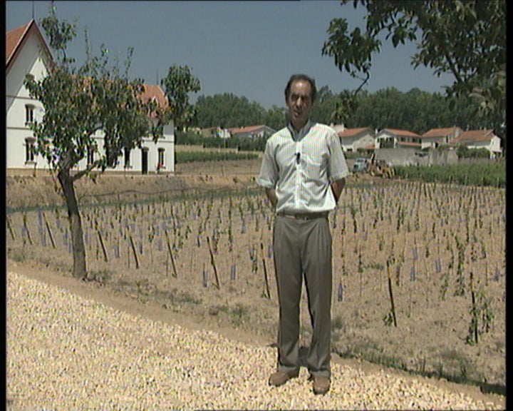 A região demarcada da Bairrada I