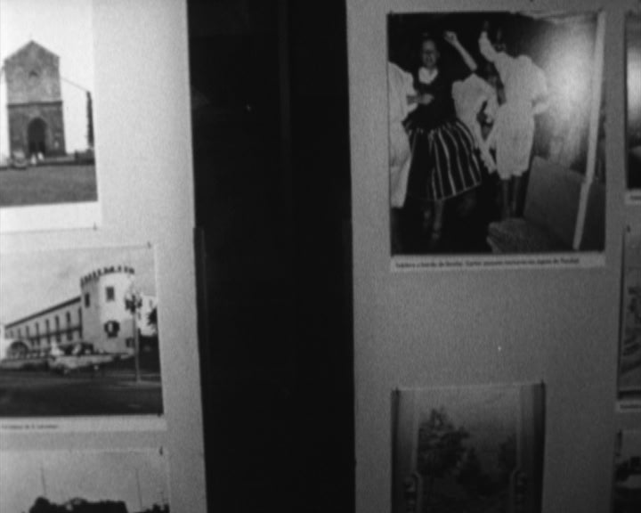 Promoção do turismo na Ilha da Madeira II