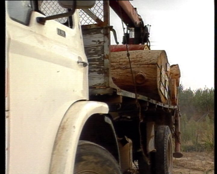 Venda de madeiras queimadas