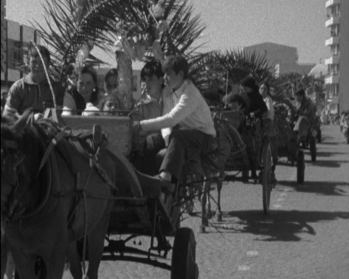 Cortejo típico de carroças na Póvoa do Varzim