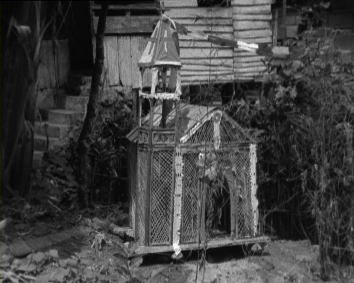 Tradição de Natal em São Tomé e Príncipe