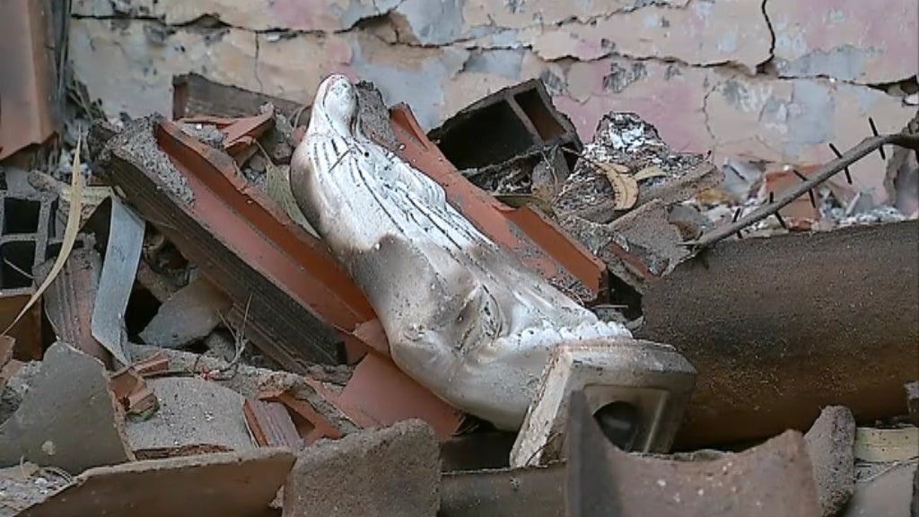 Rescaldo do incêndio na Serra de Monchique