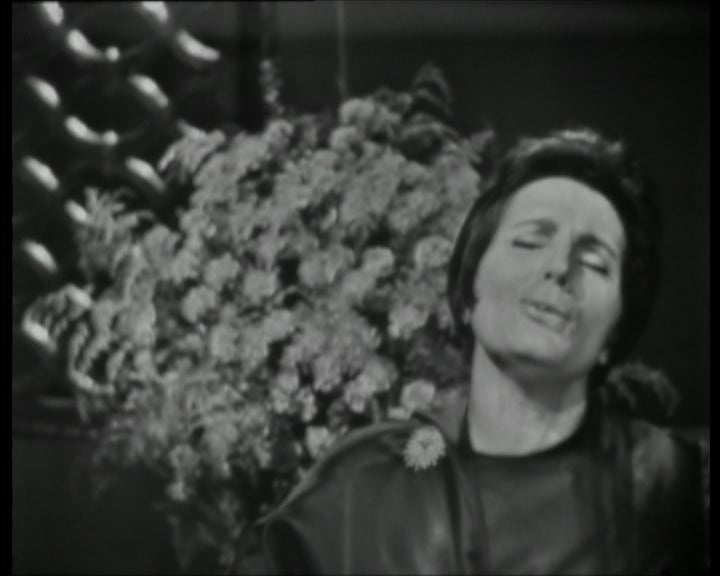 Amália – Parte II