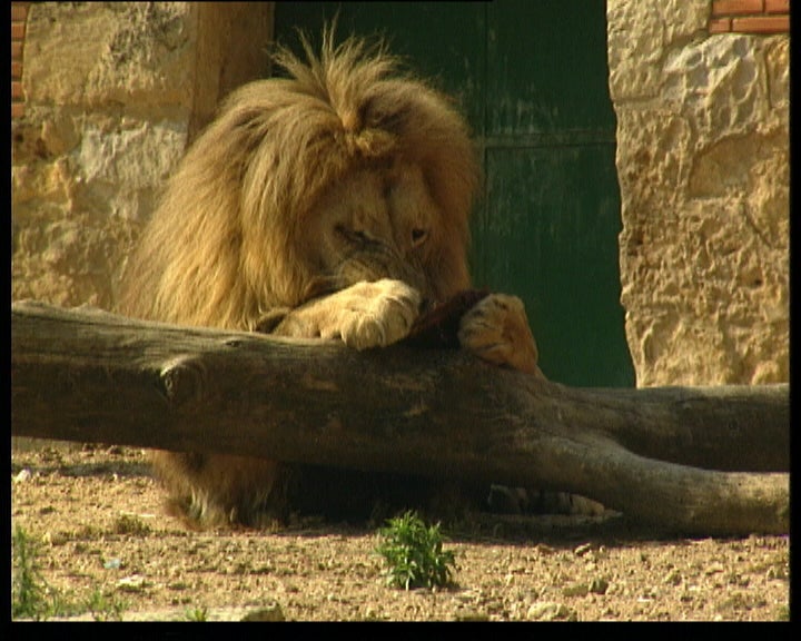 Os sete pecados capitais