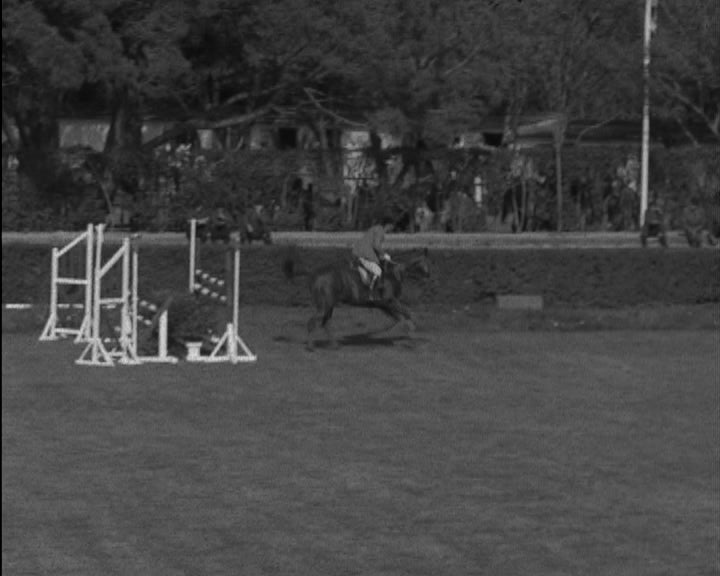 Hipismo: Concurso Nacional de Saltos