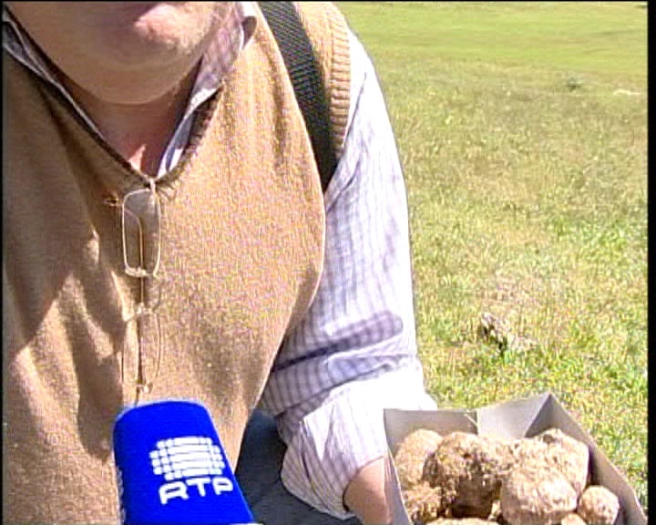 Certificação de cogumelos