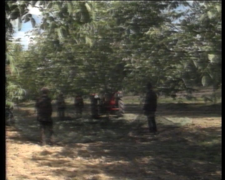 Queixas dos agricultores