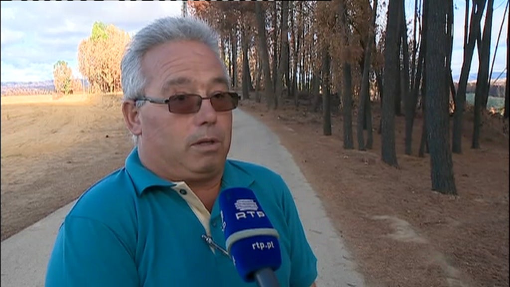 Prejuízos provocados pelo incêndio de Pedrógão Grande