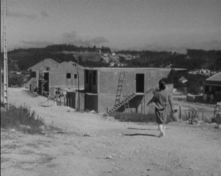 Bairros clandestinos em Sintra