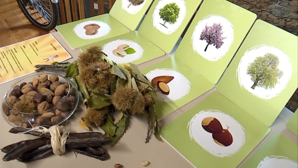 Exposição “Trinca-Secos”