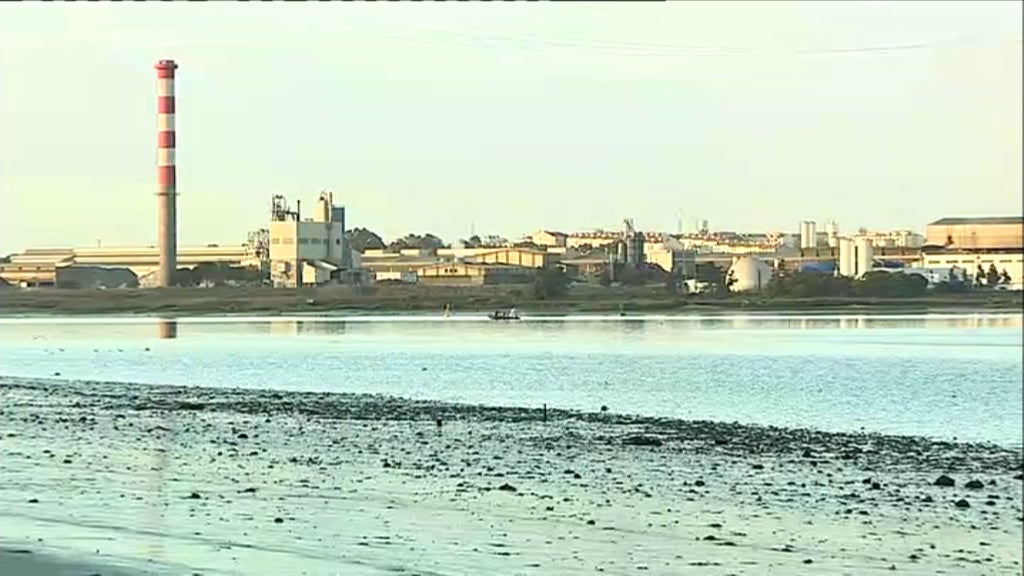 Mariscador desaparecido no Tejo