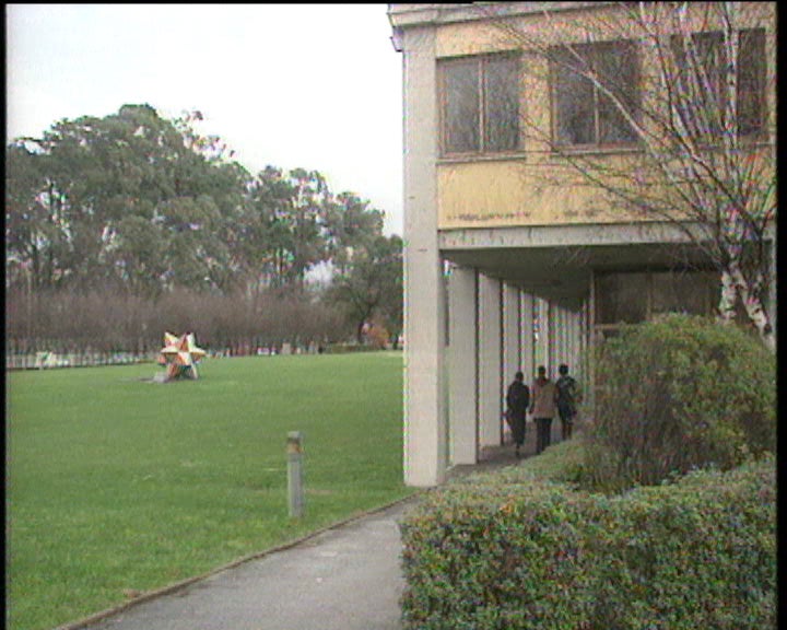 Incineradora polémica