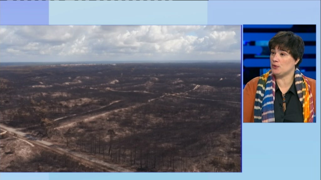 Entrevista a Carla Graça