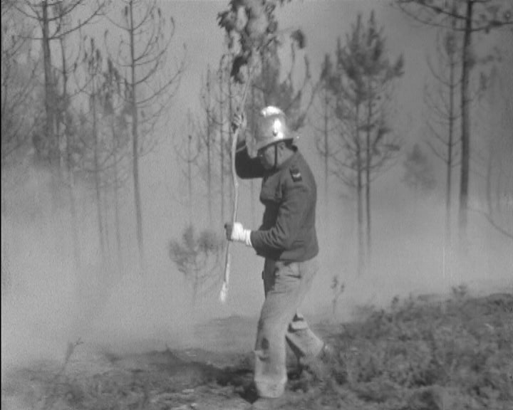 Incêndio florestal em Alfena