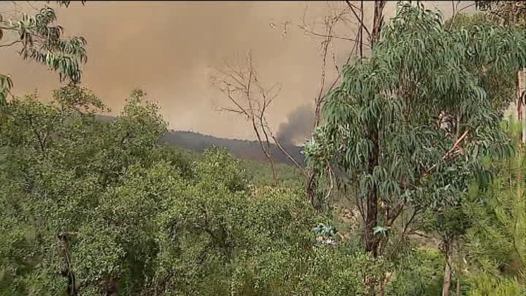 Incêndio na Serra de Monchique