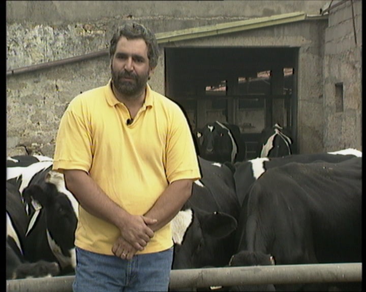 Portugal antes e depois da adesão à CEE