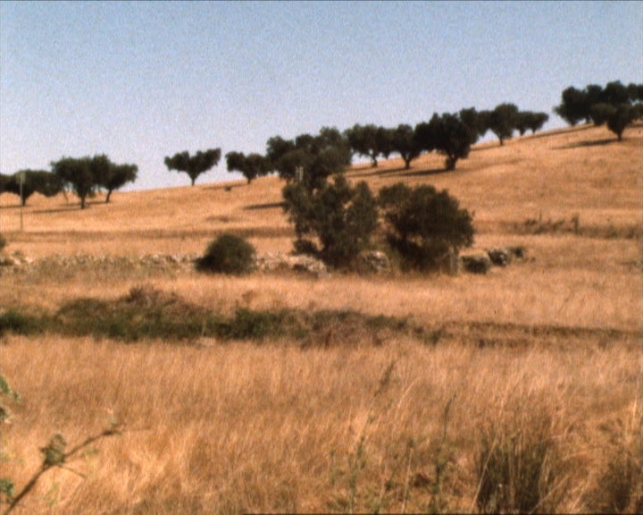 Vida Rural a Sul do Tejo 2