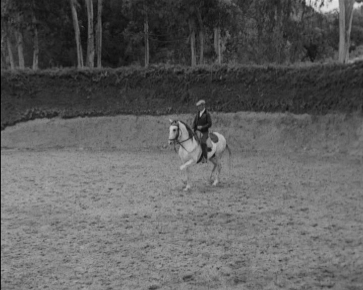 50 anos de carreira de João Branco Núncio