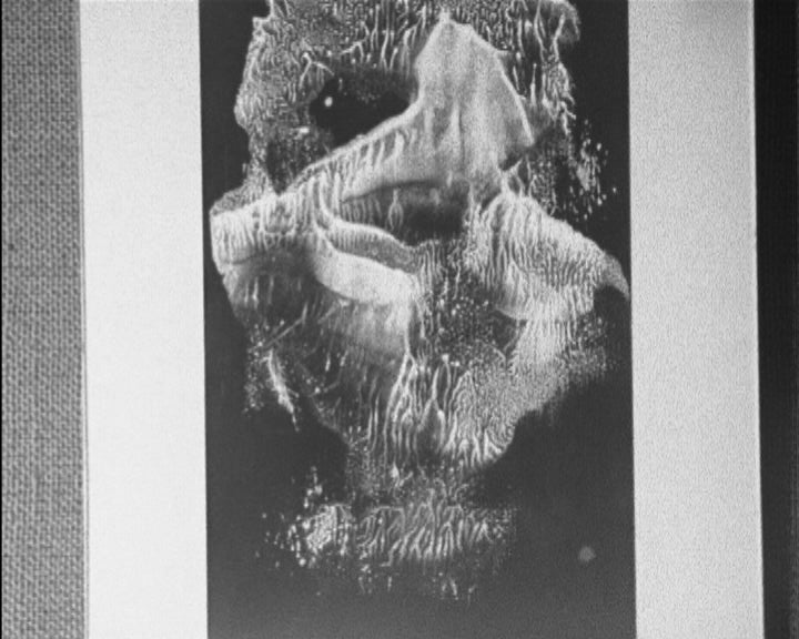 Inauguração da exposição de Rafael Ducat