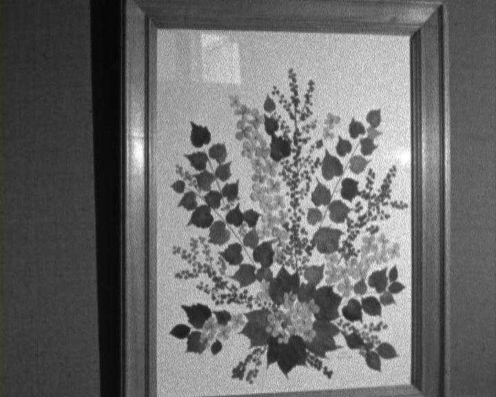 Exposição de Maria do Carmo Almeida