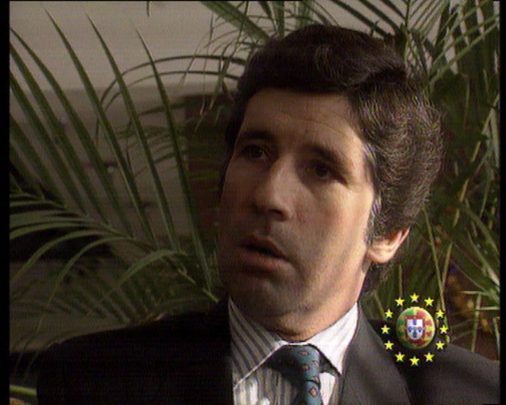 Missão de observadores da CEE para a paz na Jugoslávia