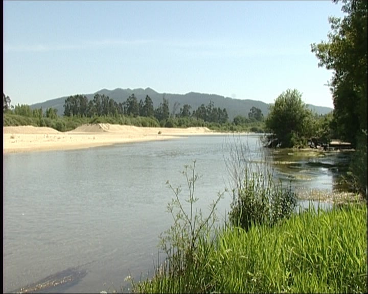 Ponte de Lima