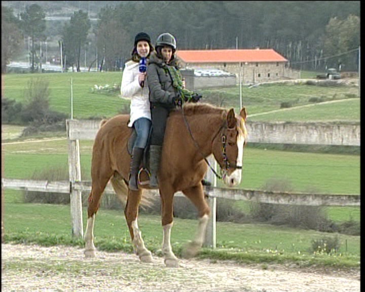 Aulas de equitação