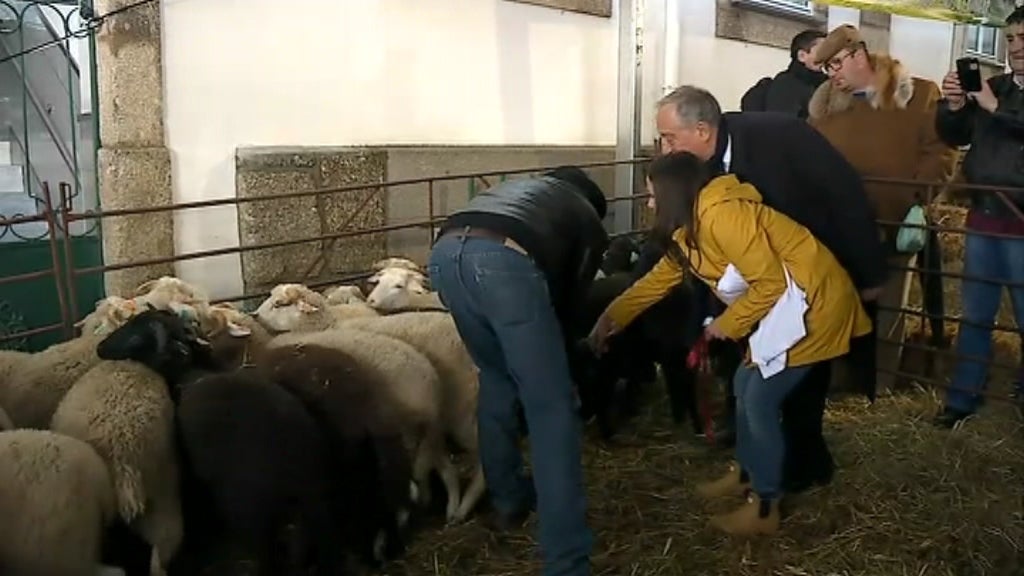 Visita de Marcelo Rebelo de Sousa a Oliveira do Hospital