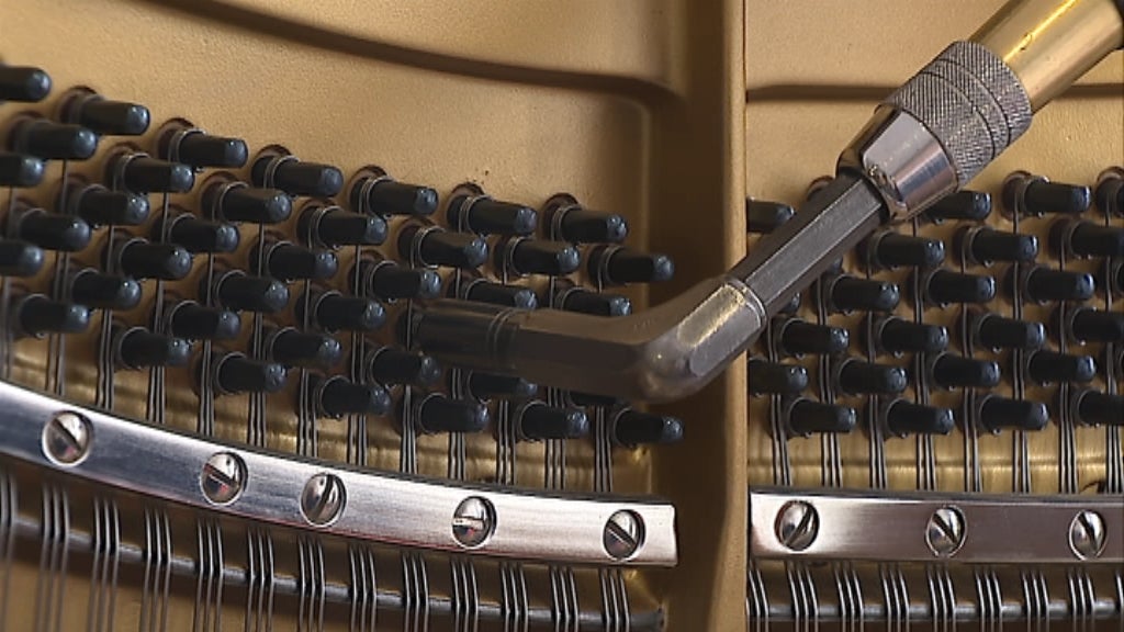Afinador de Pianos