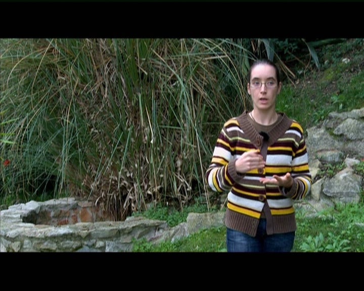 Podemos controlar as invasões biológicas?