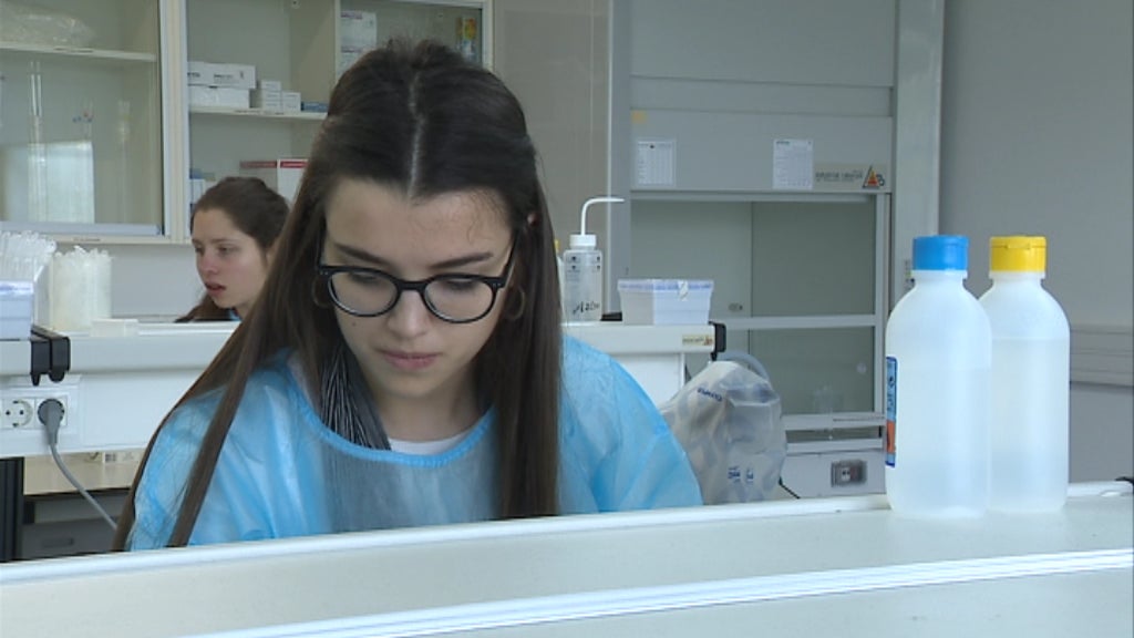 Declarações de José Vieira da Silva