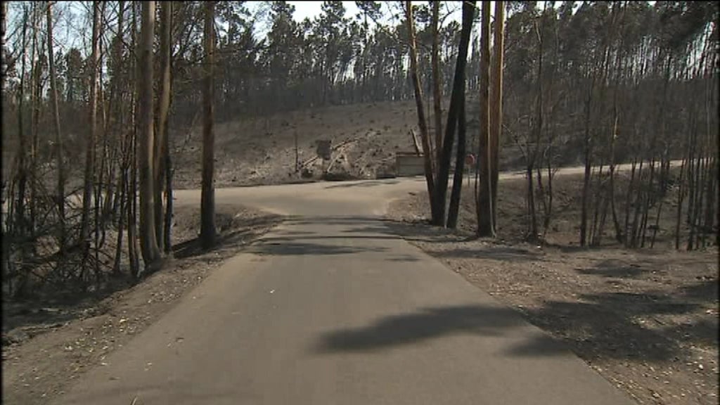 Sobreviventes da “estrada da morte”
