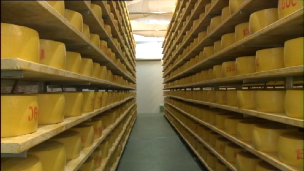 Auditoria às fábricas de queijos de São Jorge
