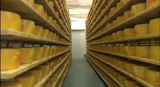Auditoria às fábricas de queijos de São Jorge